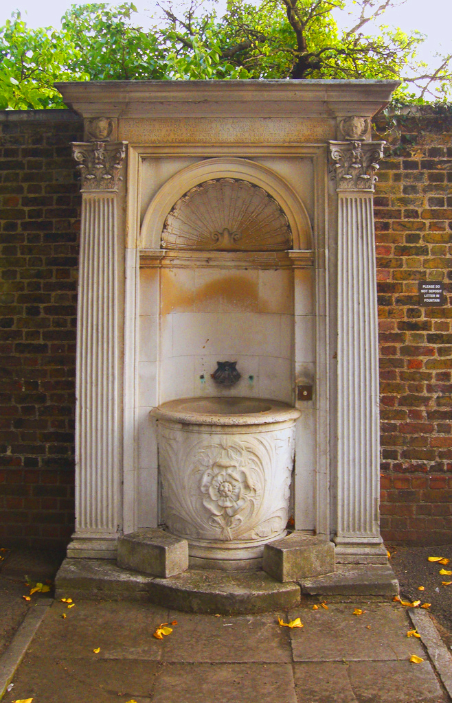Royal Hospital and Ranelagh Gardens Yersinia pestis