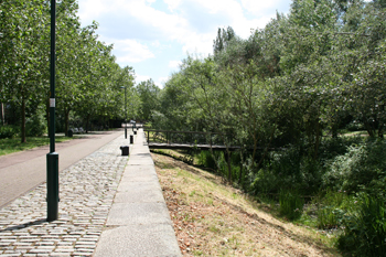 Russia Dock Woodland
