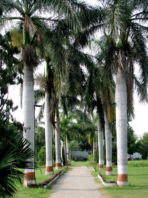 Sahelion-Ki-Bari, India