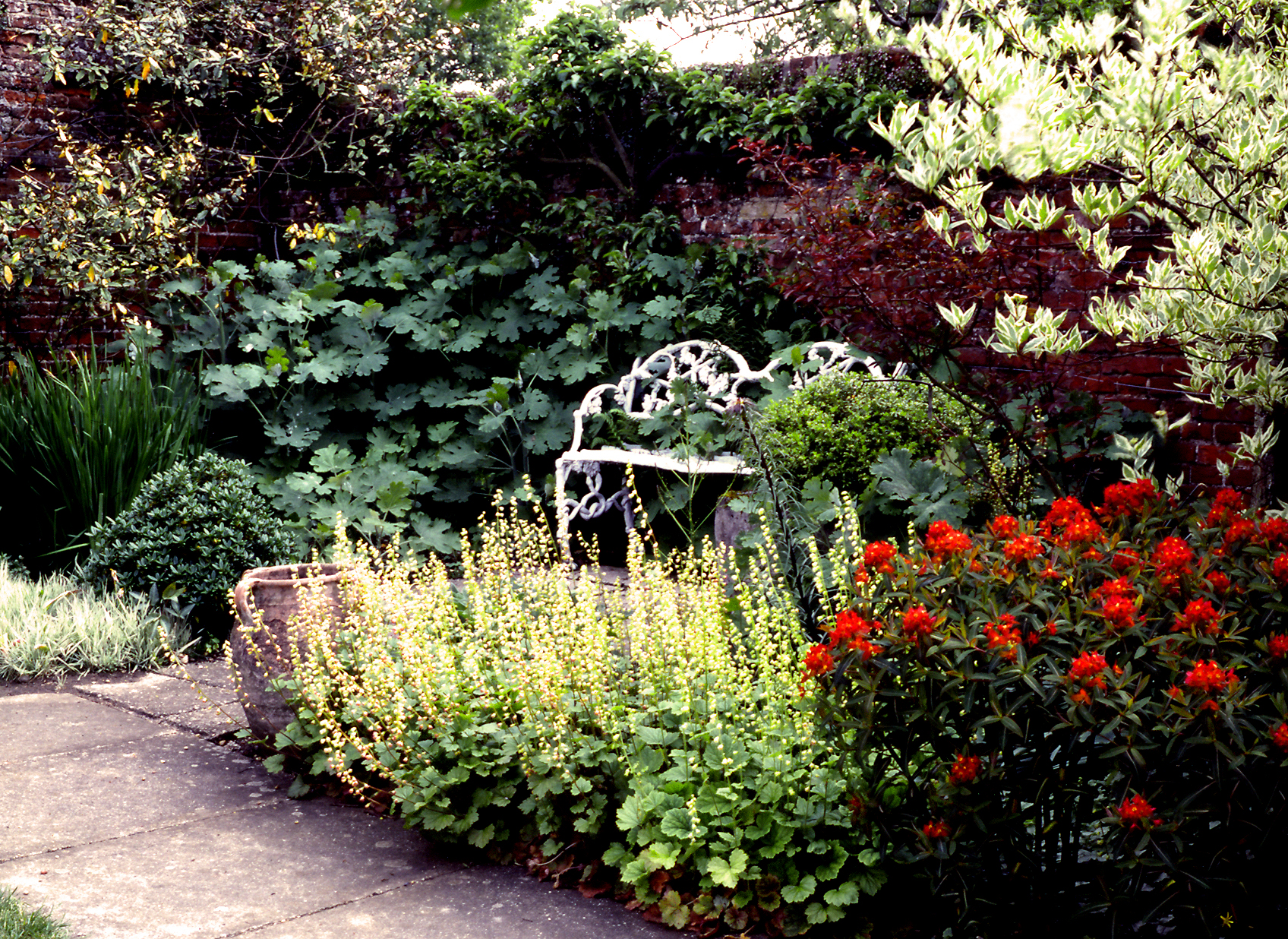 Saling Hall Garden Gardenvisit.com