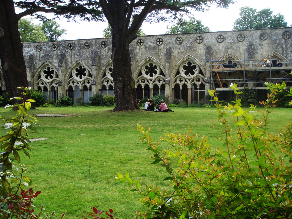 Salisbury Cathedral Cloister Garden
                        jojo-bean