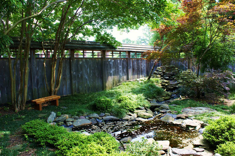 Pond, Salisbury University Arboretum