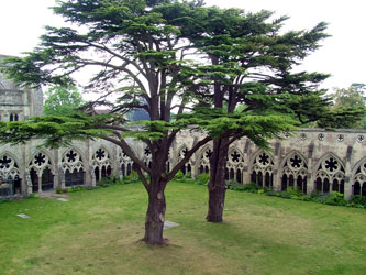 Salisburycathedralcloister
