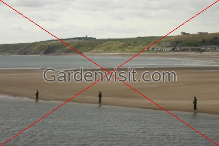 Salmon Fishermen Berwick