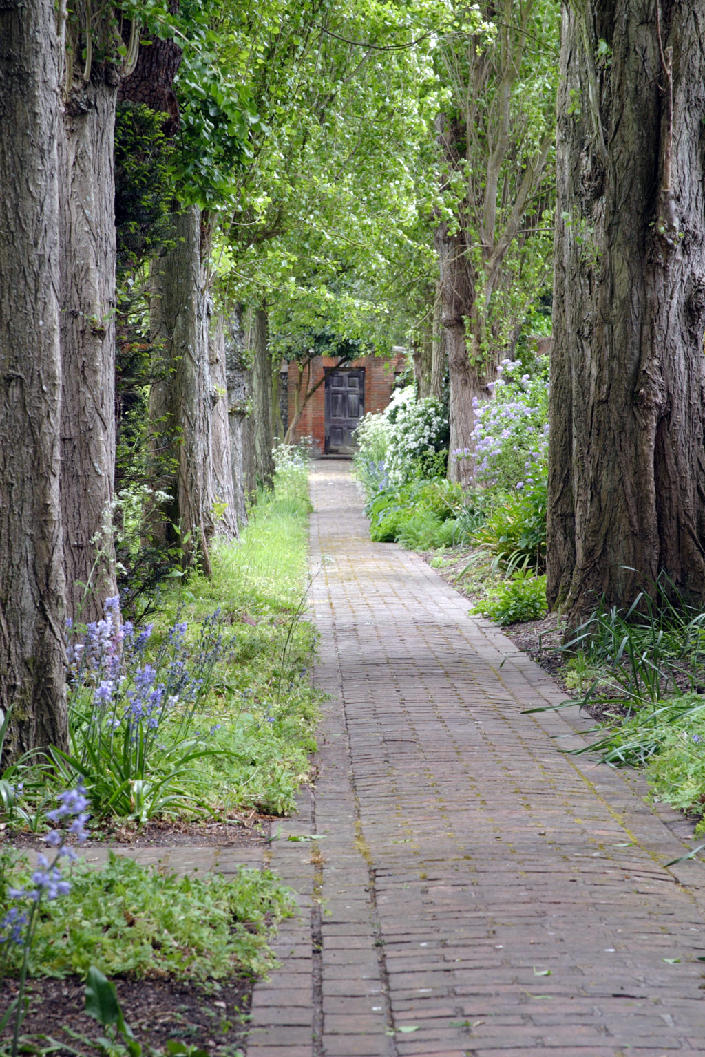 Poplar Walk, The Salutation