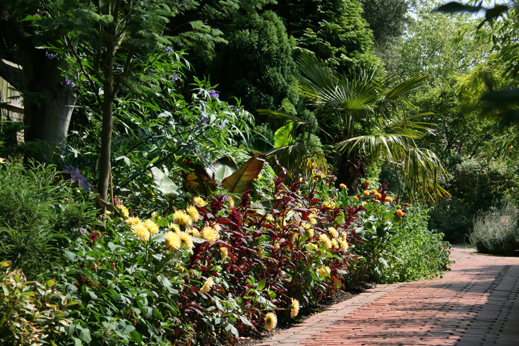 Tropical Border, The Salutation