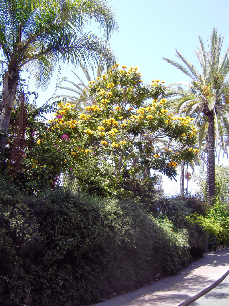 San Diego Zoo