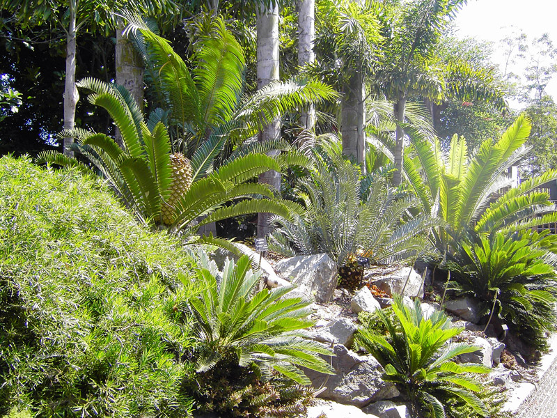 San Diego Zoo, California