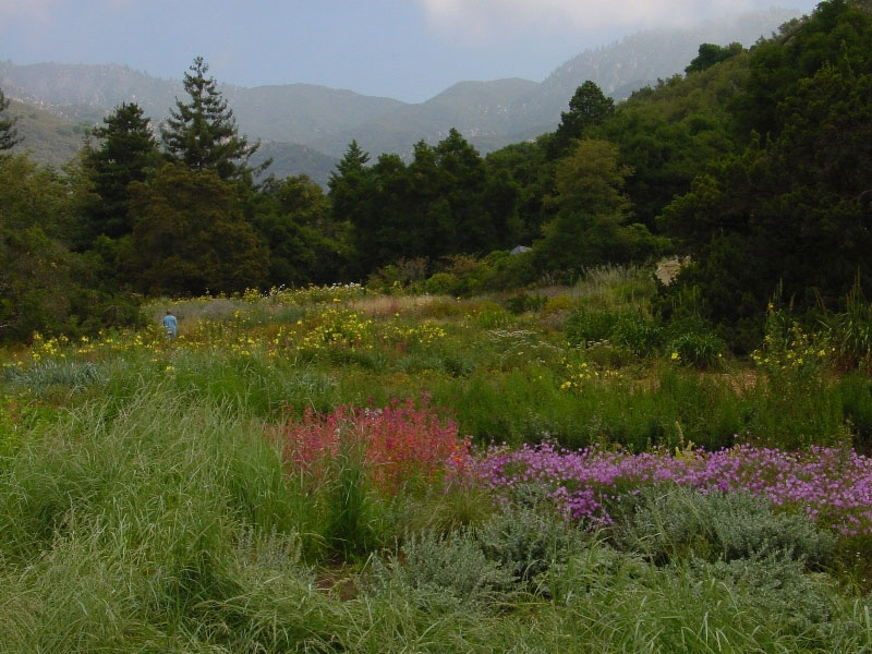 Santa Barbara Botanic Garden, California