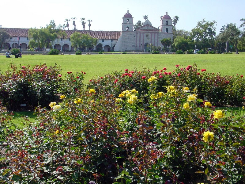 Roses, Santa Barbara Mission Garden