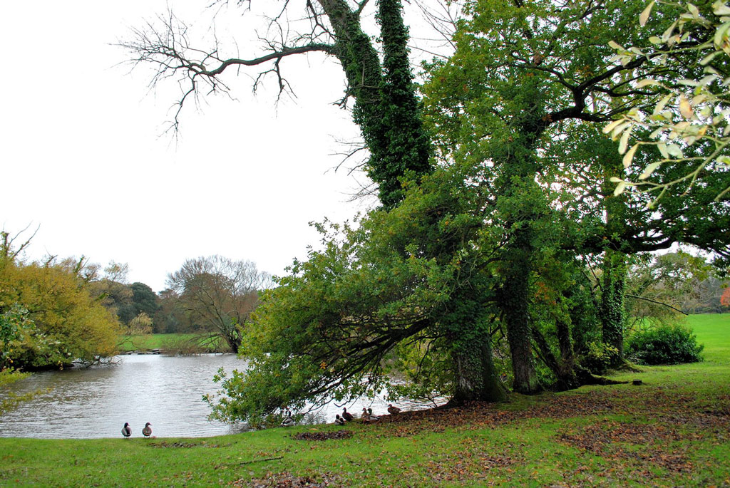 Lake, Saumarez Park