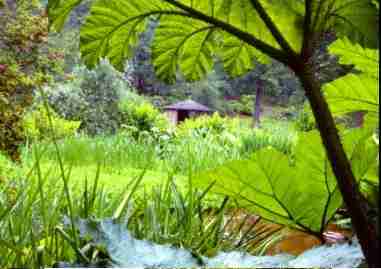 Savill
