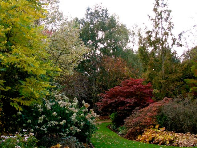 The Savill Garden and Valley Garden, 2009