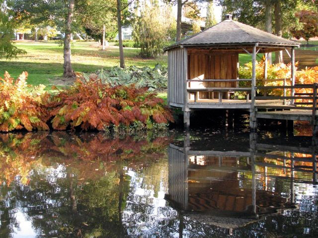 The Savill Garden and Valley Garden, Autumn
