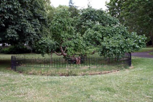 Sayes court