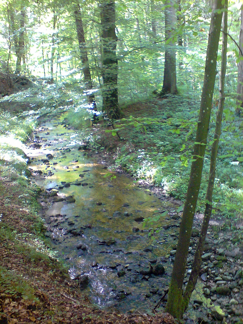 Schloss Amerang
