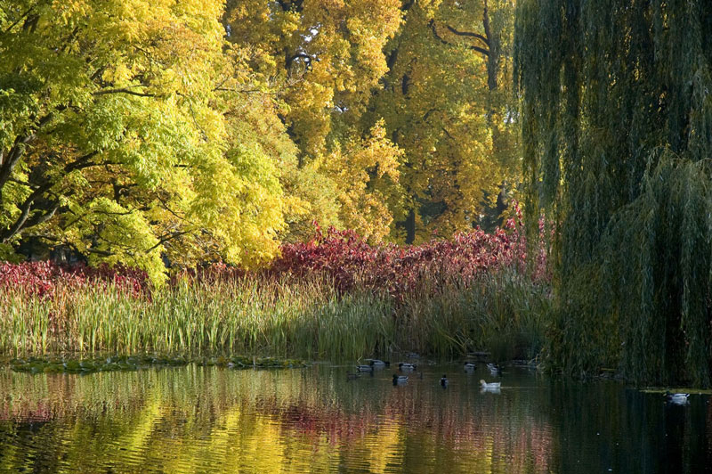 Lake, Schloss Eggenberg