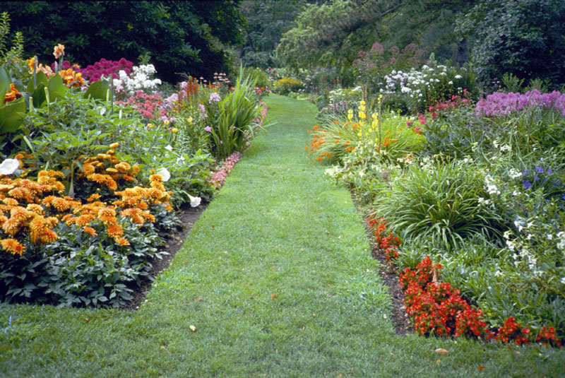 Mixed Border, Schoepfle Garden