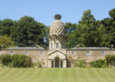 Scottish Pineapple