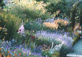 Scottish garden