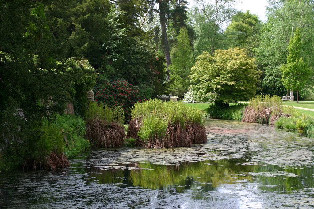 Scotney Castle, Spring