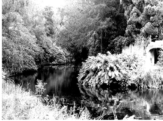 Illustrations on CD edition of Garden Visit and Travel Guide - see www.gardenvisit.com/order_form.htm