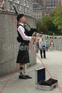 Scots Piper