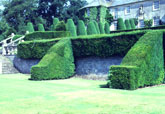 Scottish garden
