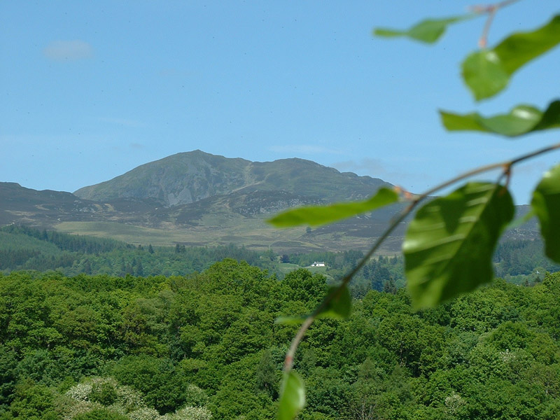 View, Scottish Plant Hunters' Garden