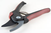 Hand pruners - secateurs