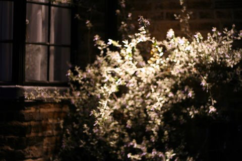 Garden Security Lighting