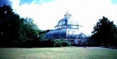Seftonx