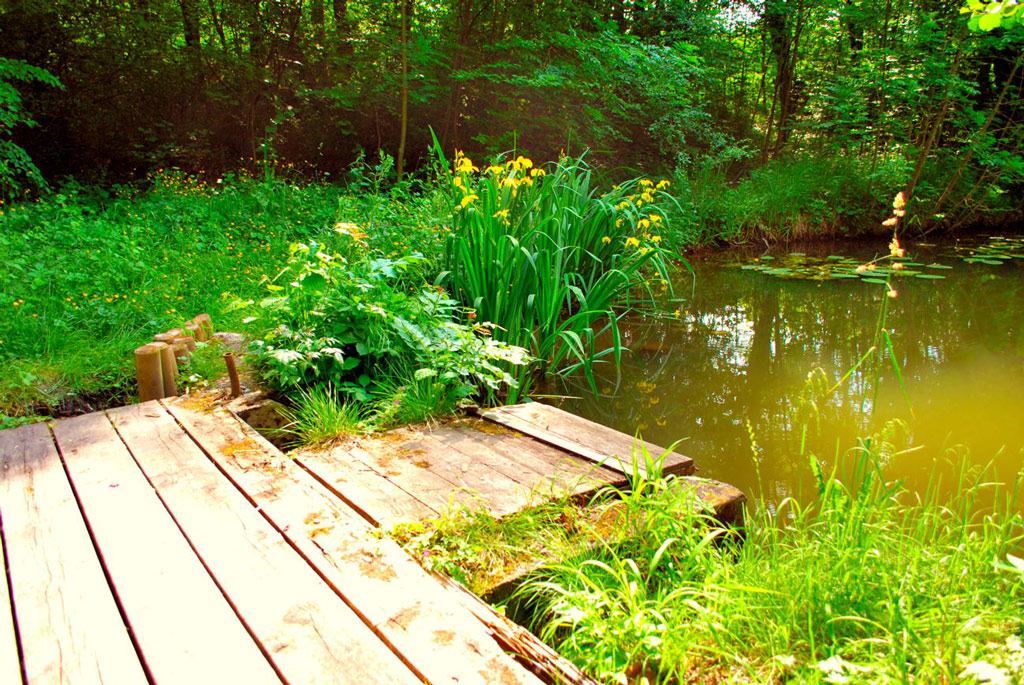 Seidl-Park, Murnau