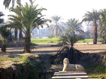 Site for reconstruction of Sennufer's garden