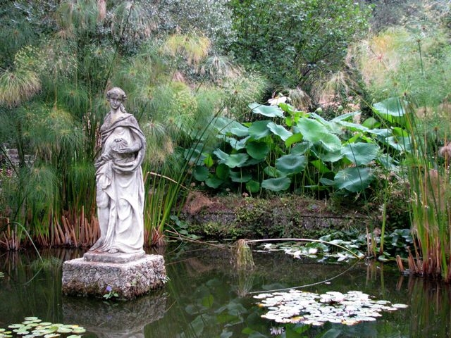 Pond, Serre de la Madone