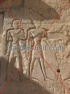 Wall relief carving at Seti I Temple