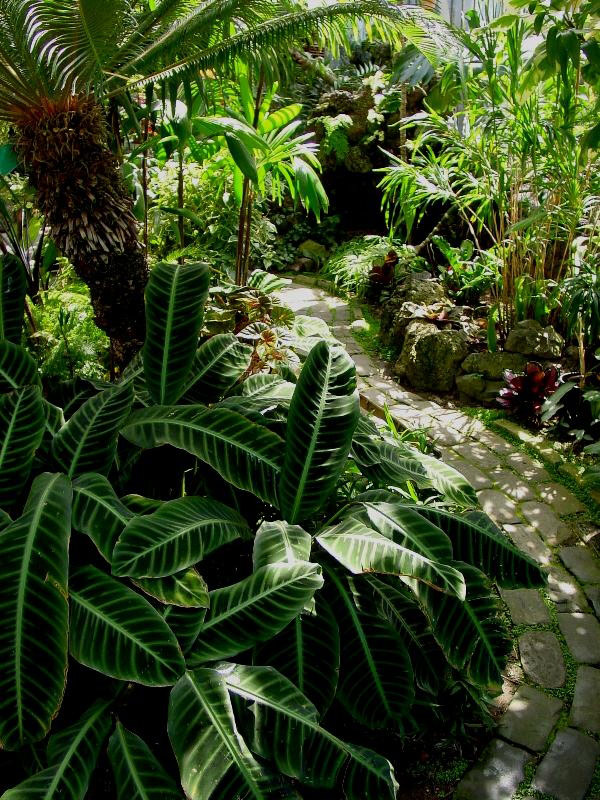 Seymour Botanical Conservatory