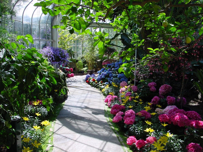 Seymour Botanical Conservatory, Tacoma