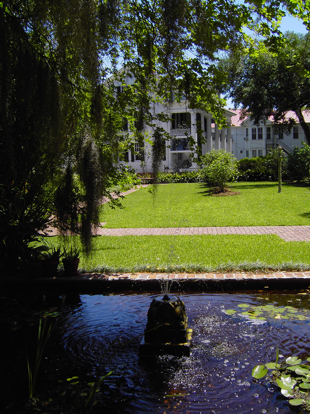 Shadows on the Teche