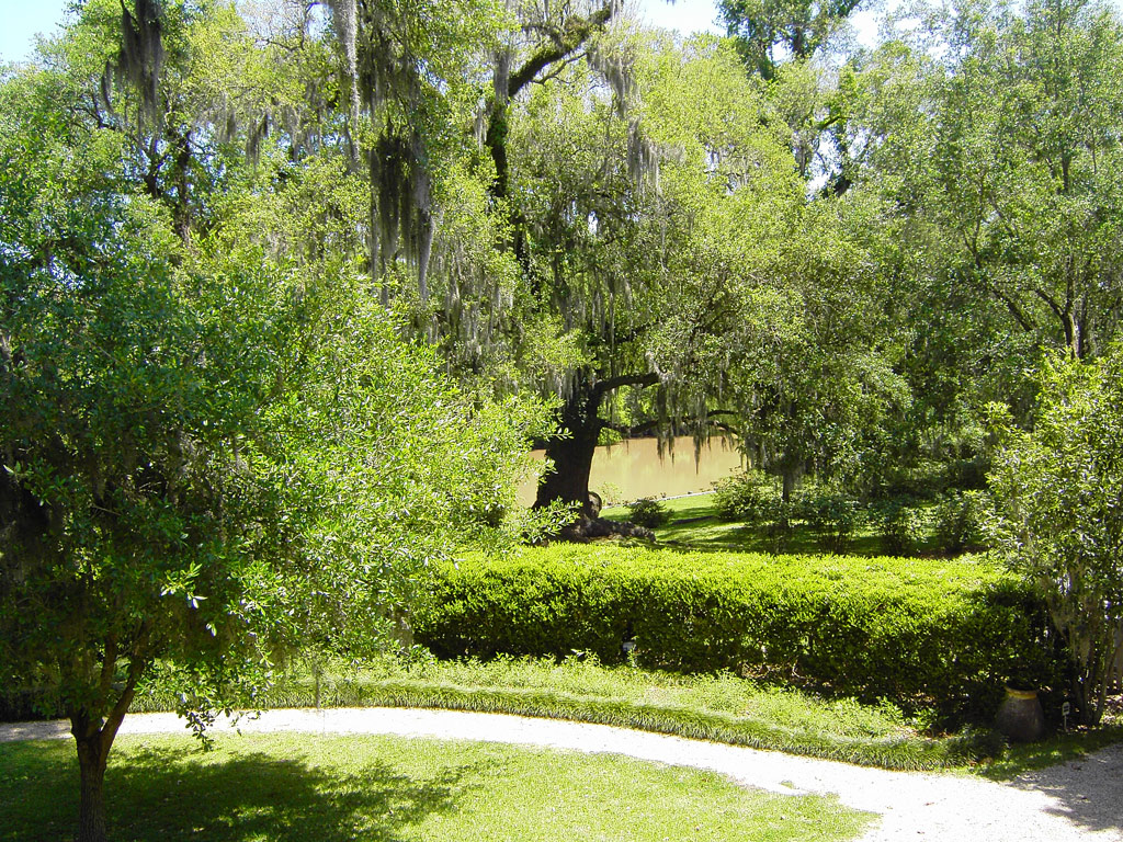Bayou, Shadows on the Teche