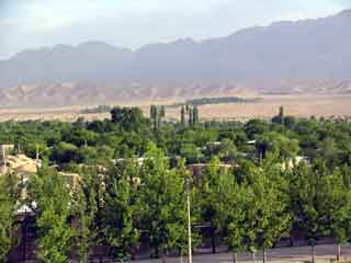 Shahzadeh garden2