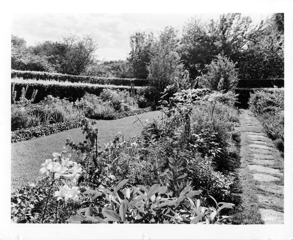 Shakespeare garden illinois