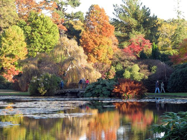 Sheffield Park Garden