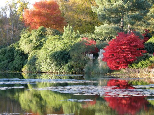 Sheffield Park Garden, East Sussex