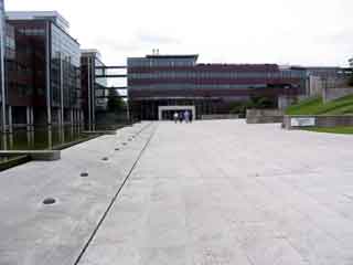 Shell gustafson2