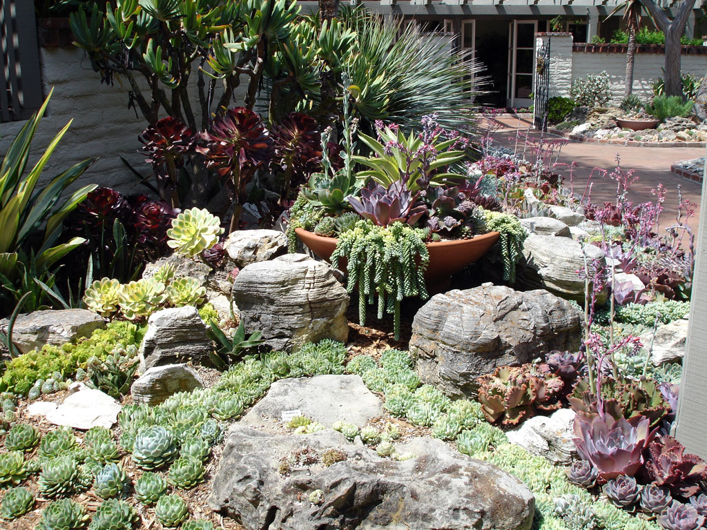 Cactus Garden, Sherman Library Gardens