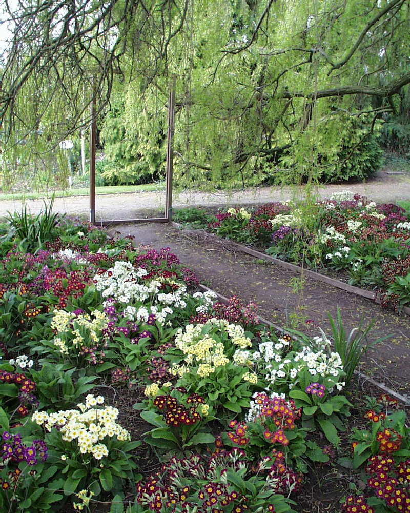Shipley  Gardens