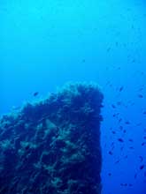 ship wreck