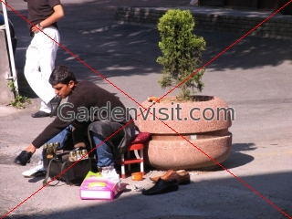 Shoe Shine Boy Istanbul