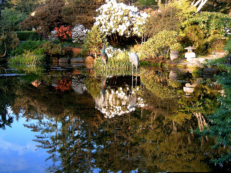 Shore Acres Gardens